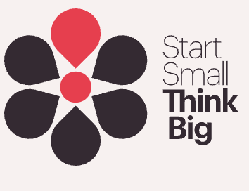 Start Small Think Big